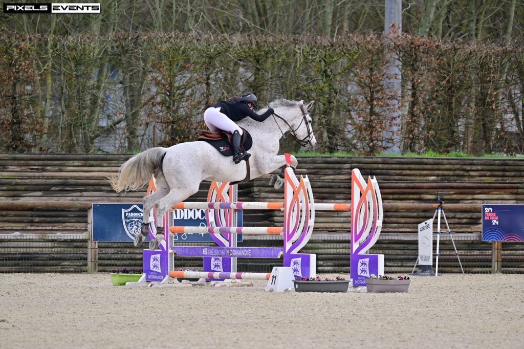 Cheval en liberté dans les prés de Nira